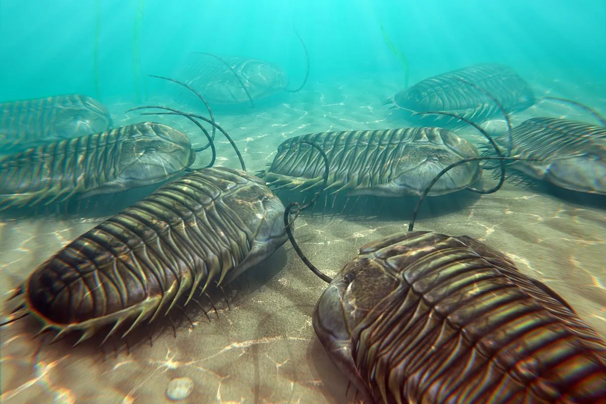 The Boom Of Life Before The Dinosaurs: How The Great Evolutionary Leap Took Place Some 520 Million Years Ago