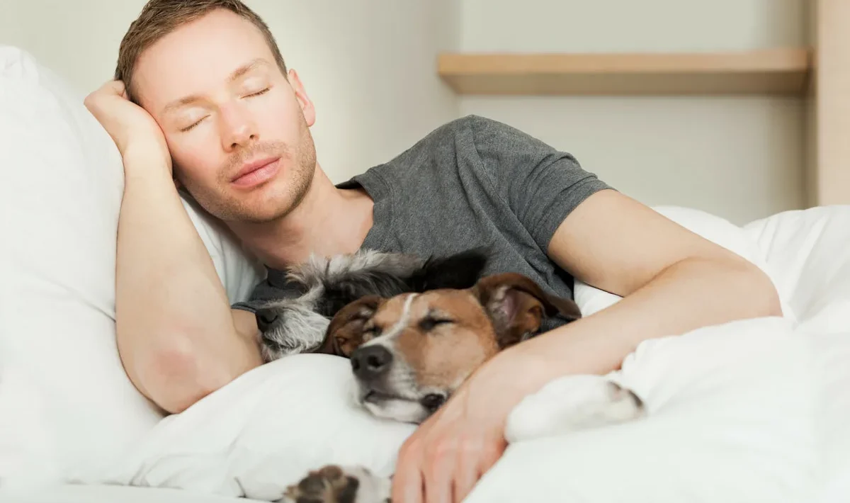 Pets
