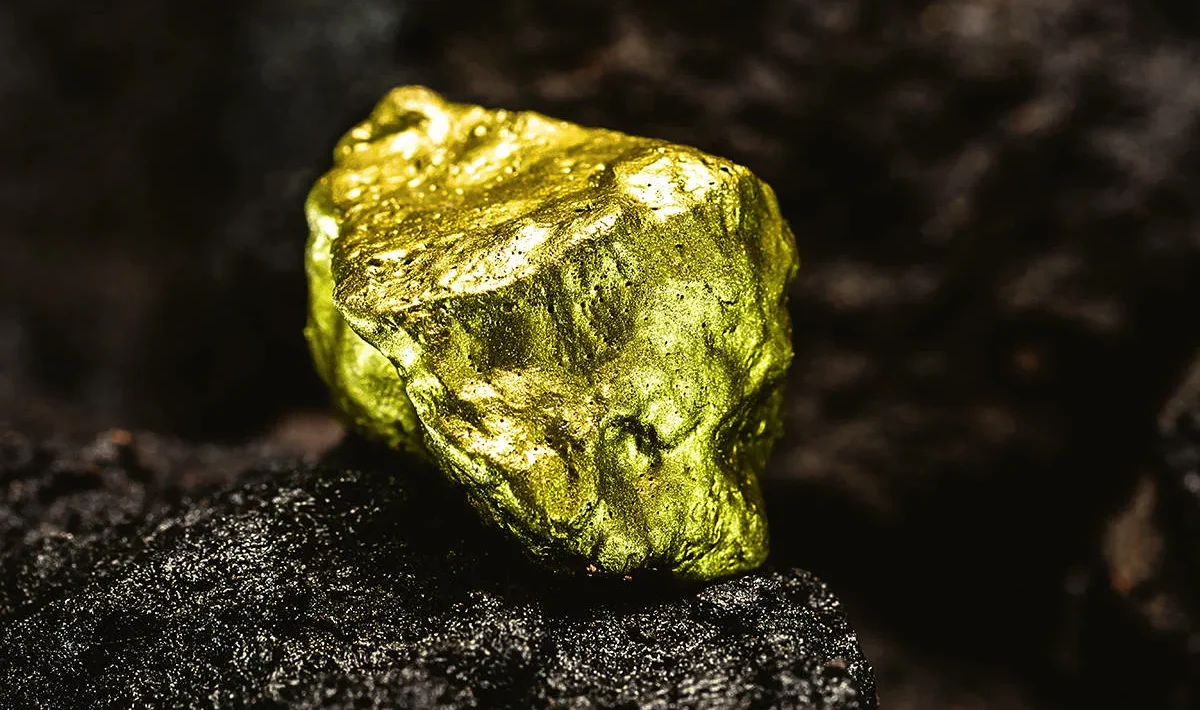 Gold Nugget