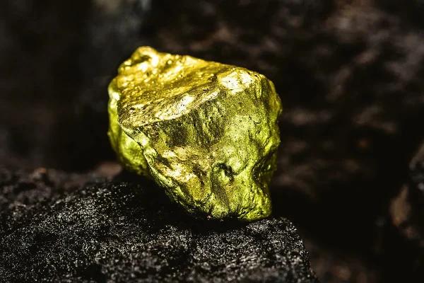 Gold Nugget